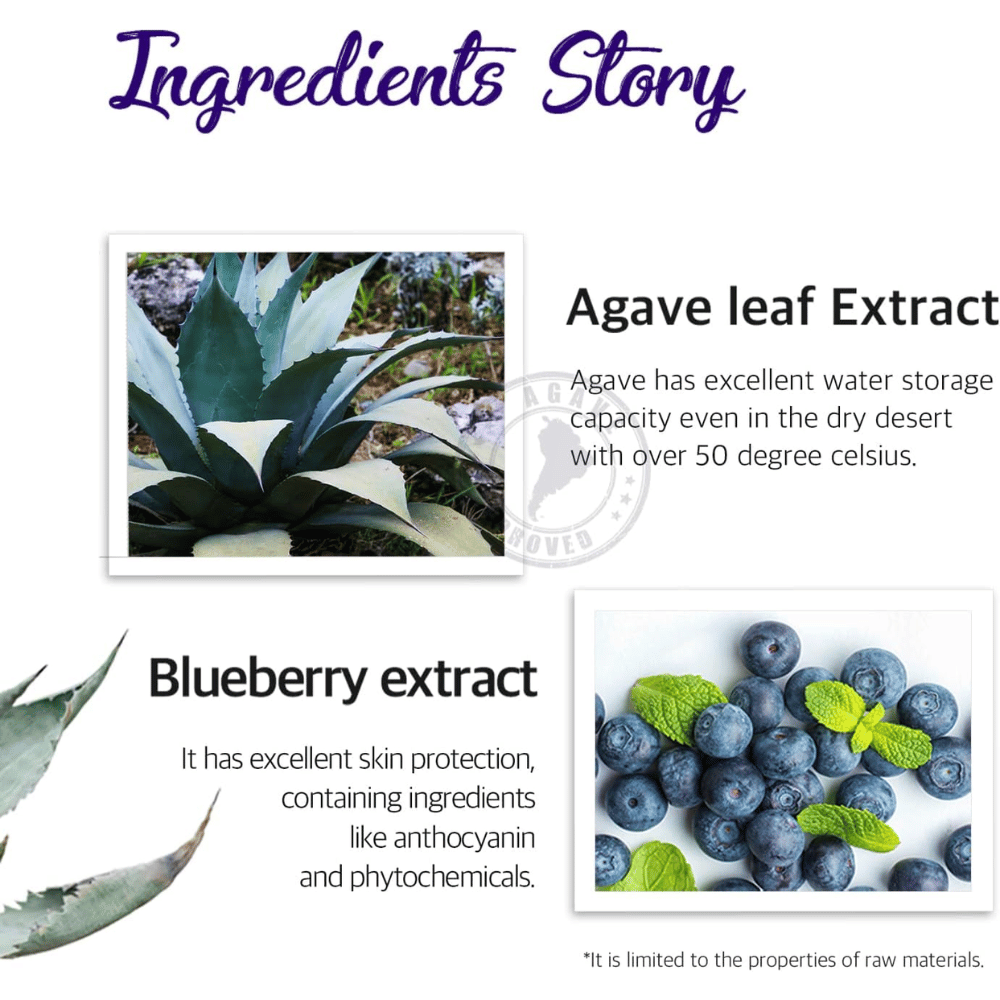 Informational image about ingredients such as agave leaf extract and blueberry extract. The focus is on hydration, skin protection, and caring properties from plant-based ingredients.