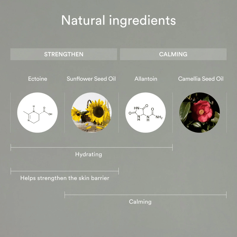 The image shows natural ingredients that strengthen and soothe the skin: Ectoin and sunflower seed oil help to moisturize and strengthen the skin barrier, while allantoin and camellia seed oil soothe and protect sensitive skin.