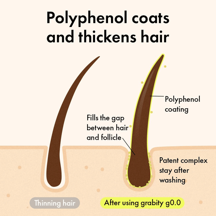 Diagram showing how polyphenols envelop the hair strand and fill the space at the hair follicle to create a fuller and thicker appearance after washing.