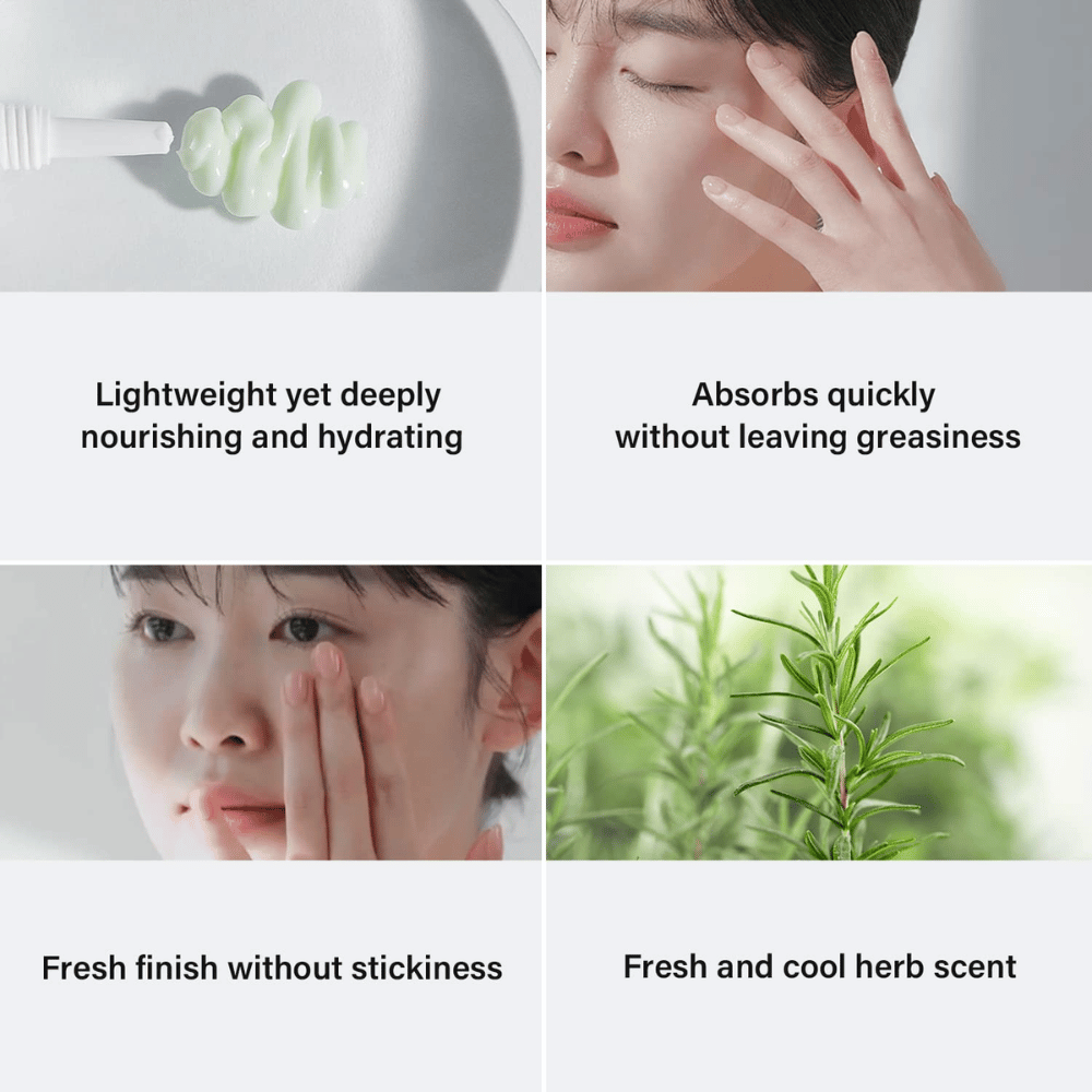 Four images showing the benefits of a skincare product. Top left shows a green cream on a brush, with the text "Lightweight yet deeply nourishing and hydrating." Top right, a woman applying the product, with the text "Absorbs quickly without leaving greasiness." Bottom left, a woman massaging in the product, with the text "Fresh finish without stickiness." Bottom right shows an image of rosemary with the text "Fresh and cool herb scent."]