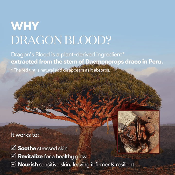Illustration of the Dragon’s Blood tree (Daemonorops draco) in Peru, an ingredient in VT Red Booster Reedle Shot 100 that soothes stressed skin, strengthens the skin barrier, and gives a healthy glow.